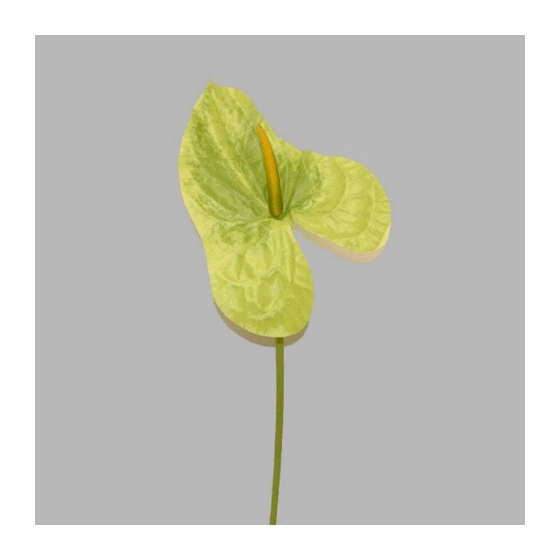 anthurium van zijde kleur groen-lengte 80 cm