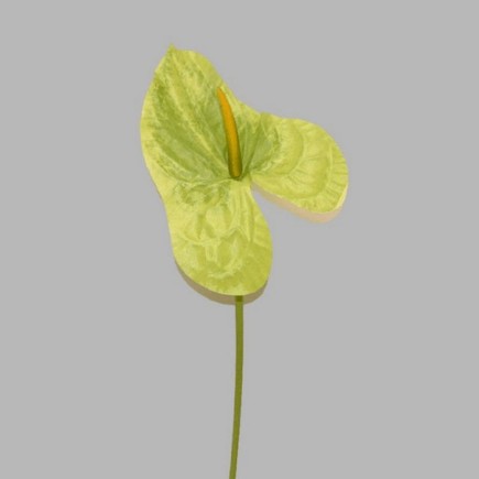 anthurium van zijde kleur groen-lengte 80 cm