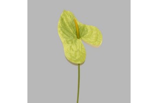 anthurium van zijde kleur groen-lengte 80 cm