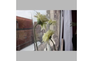 gerbera van zijde kleur groen lengte 65 cm