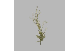 tak met bloemknoppen en bladeren groen lengte 80 cm