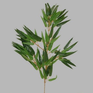 tak met groene bladeren lengte 70 cm