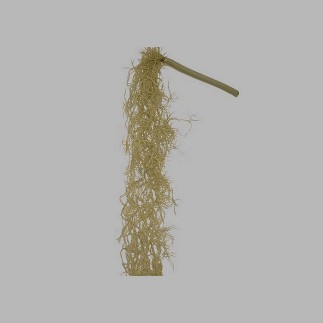 tak tillandsia kleur lichtgroen lengte 85 cm