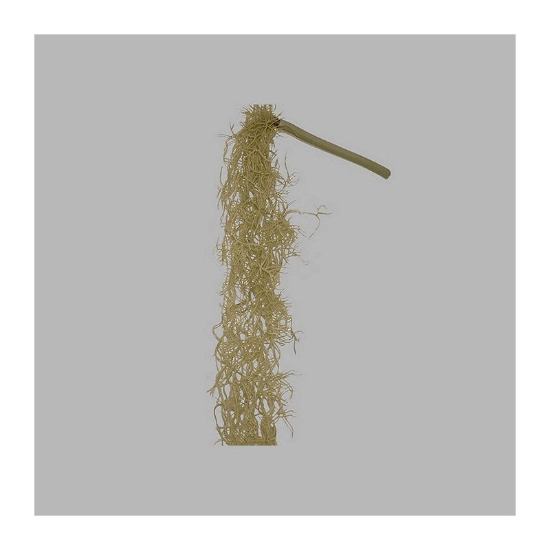 tak tillandsia kleur lichtgroen lengte 85 cm