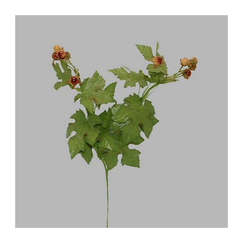 bessen tak kleur bruin lengte 45 cm