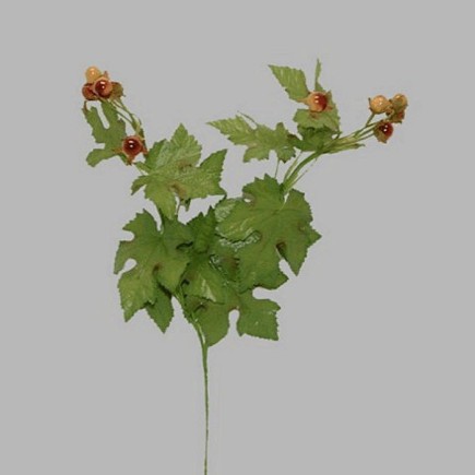 bessen tak kleur bruin lengte 45 cm