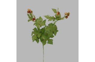 bessen tak kleur bruin lengte 45 cm