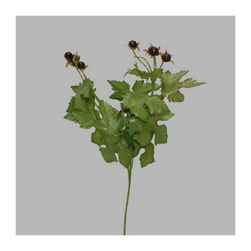 bessen tak kleur zwart lengte 45 cm