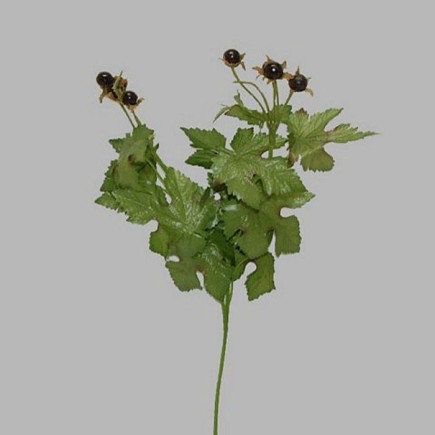 bessen tak kleur zwart lengte 45 cm