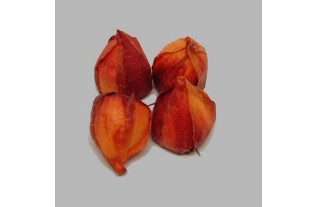 lampion bloem kleur oranje 5 cm groot en per 4 stuks