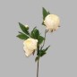 peony of silk color white length 70 cm