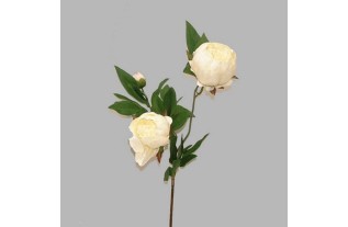 peony of silk color white length 70 cm