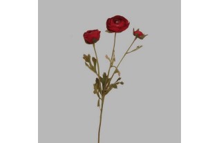 Anemone of silk Bordeau red length 65 cm