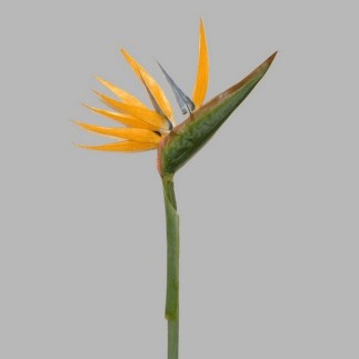 strilitzia bloem van zijde lengte 90 cm