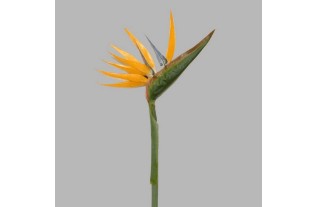 strilitzia flower of silk length 90 cm