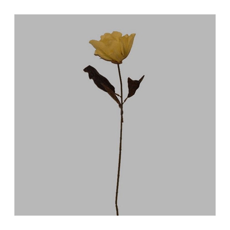 flower yellow with leaves length 75 cm