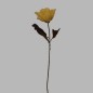 flower yellow with leaves length 75 cm