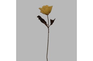 flower yellow with leaves length 75 cm