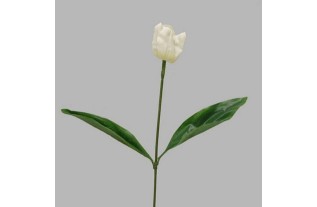 Tulip of silk with leaves color white length 65 cm