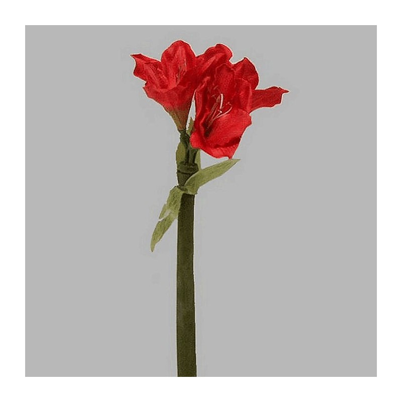 amaryllis van zijde kleur rood lengte 70 cm