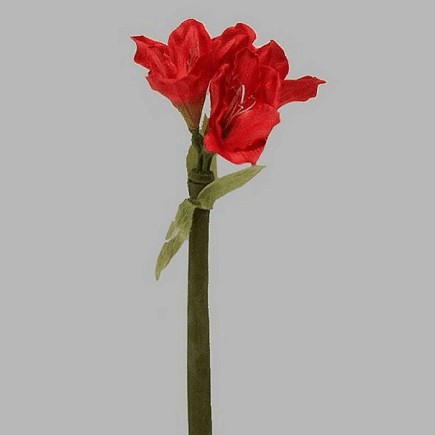 amaryllis van zijde kleur rood lengte 70 cm