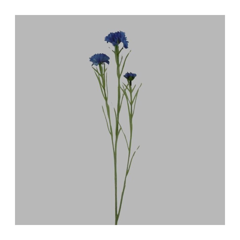 Zijde Blauwe Korenbloem – Natuurlijke Pracht die Blijft