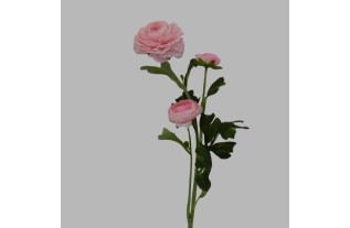 Zijde Ranonkel Roze– Elegantie en Tijdloze Schoonheid