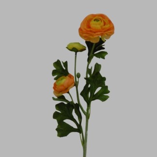 Zijde Oranje Ranonkel – Warme Kleurenpracht voor Elk Interieur