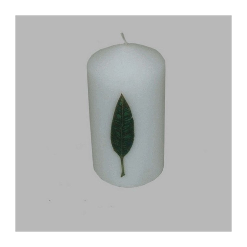 bougie feuille de bananier couleur blanche 13 cm de hauteur Dm
