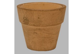 mini flower pots of gold-6 inches