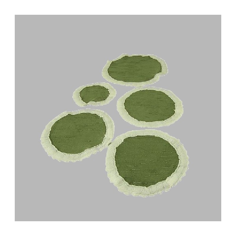 tafel onderleggers met kanten rand kleur wit en groen 5 stuks