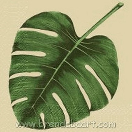 servetten van papier monstera sand 40 x 40 cm