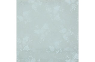 toile cirée transparente avec branches de roses largeur 140 cm