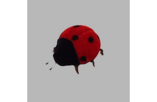 ladybugs of felt 5 cm 7 pcs