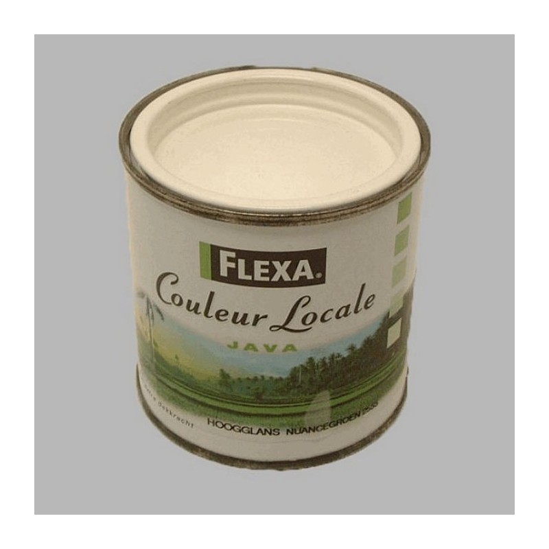 Flexa locales haute brillance 250 ml nuance verte du java Flexa locales haute brillance 250 ml nuance verte du java