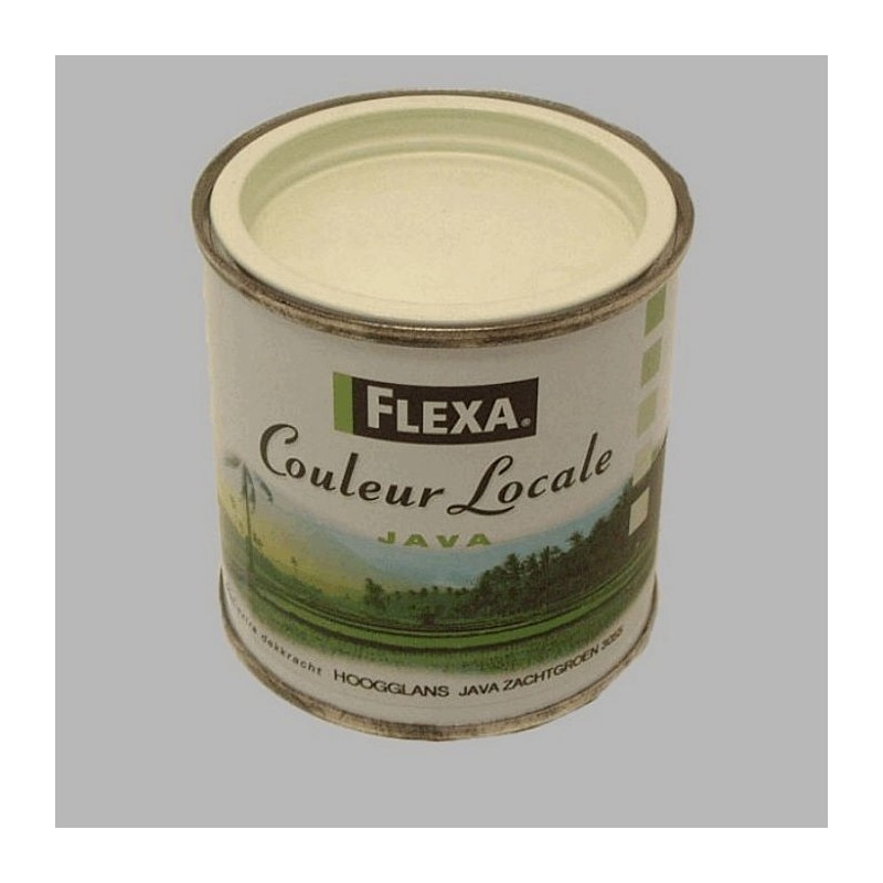 Flexa couleur locale hoogglans 250 ml java zacht groen Flexa couleur locale hoogglans 250 ml java zacht groen