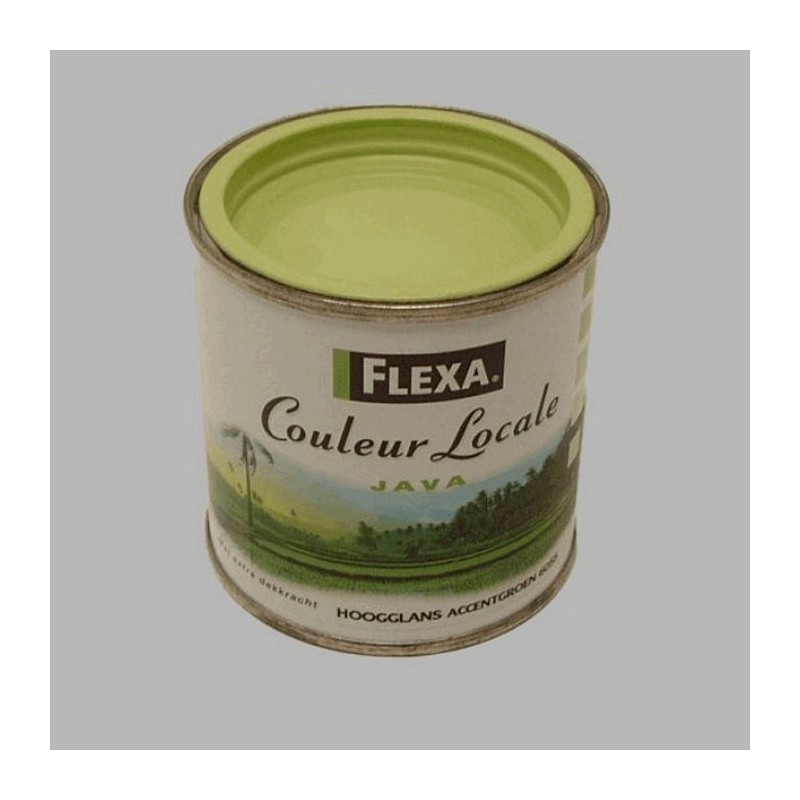 Flexa locales haute brillance 250 ml accent de vert java Flexa locales haute brillance 250 ml accent de vert java