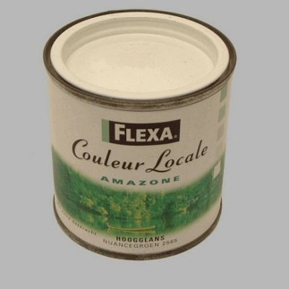 Flexa locales haute brillance 250 ml verte du Amazon