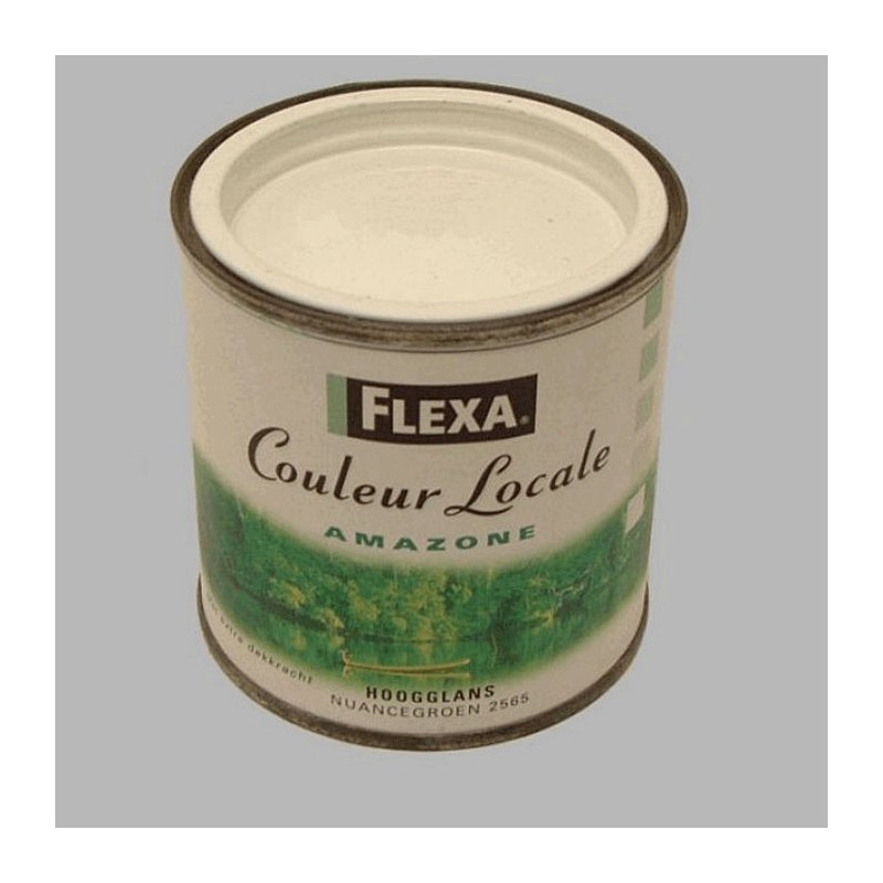 Flexa local color high gloss 250 ml Amazon nuance Green