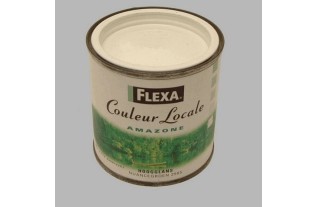 Flexa locales haute brillance 250 ml verte du Amazon
