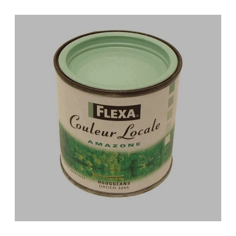Flexa couleur locale hoogglans 250 ml Amazone groen Flexa couleur locale hoogglans 250 ml Amazone groen