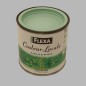 Flexa locales haute brillance 250 ml Amazon vert