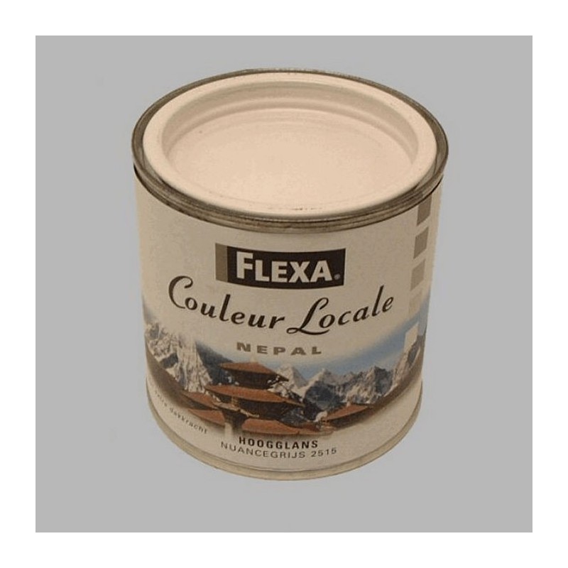 Flexa locales haute brillance 250 ml gris de nuance népal