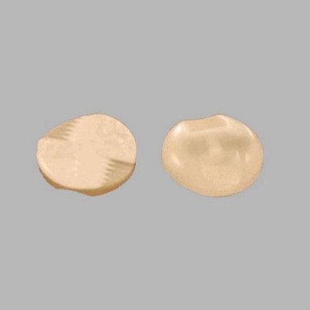 Button white-transparent 12 mm