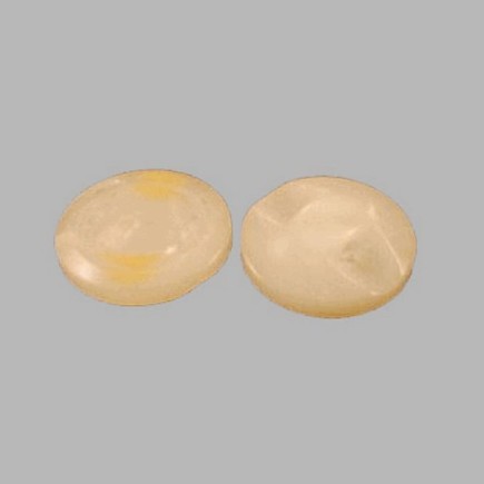 bouton pour la couture teinte de couleur blanc 12 mm