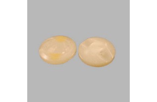 button for sewing onto fabrics color tint white 12 mm
