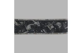 Behangrand space zilver en goud 13 cm x 5 meter