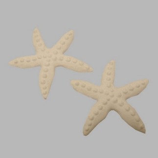 Déco étoile de mer