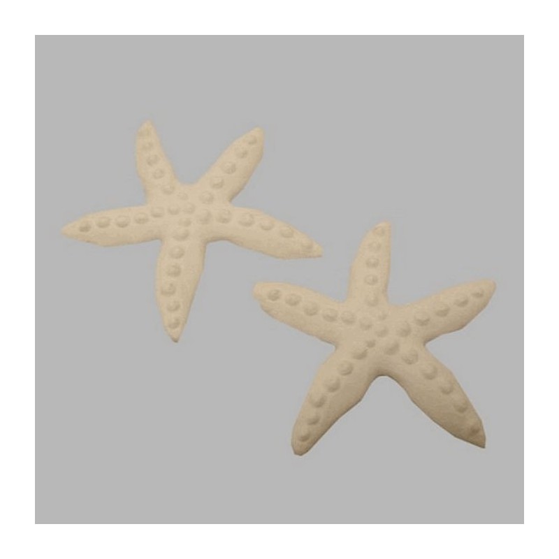 Starfish wall deco