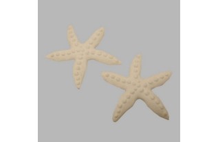 Déco étoile de mer